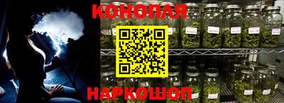 стафф Донской