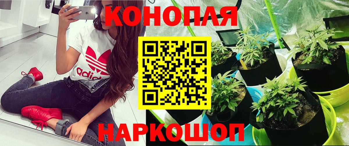 Канабис Ganja  Вход с VPN  Лянтор  Конопля VHQ  Бошки марихуана план 